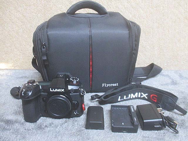 Panasonic パナソニック デジカメ デジタルカメラ LUMIX ルミックス ボディ バッテリー2個 DC-G9 バッグ付